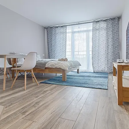 Comfort Plus Apartment Vilnius